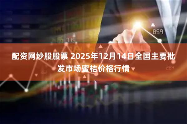 配资网炒股股票 2025年12月14日全国主要批发市场蜜桔价格行情