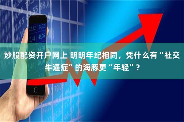 炒股配资开户网上 明明年纪相同，凭什么有“社交牛逼症”的海豚更“年轻”？